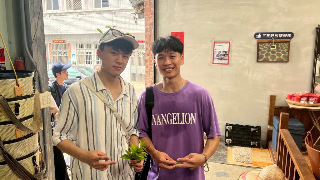 參觀三芝製茶所